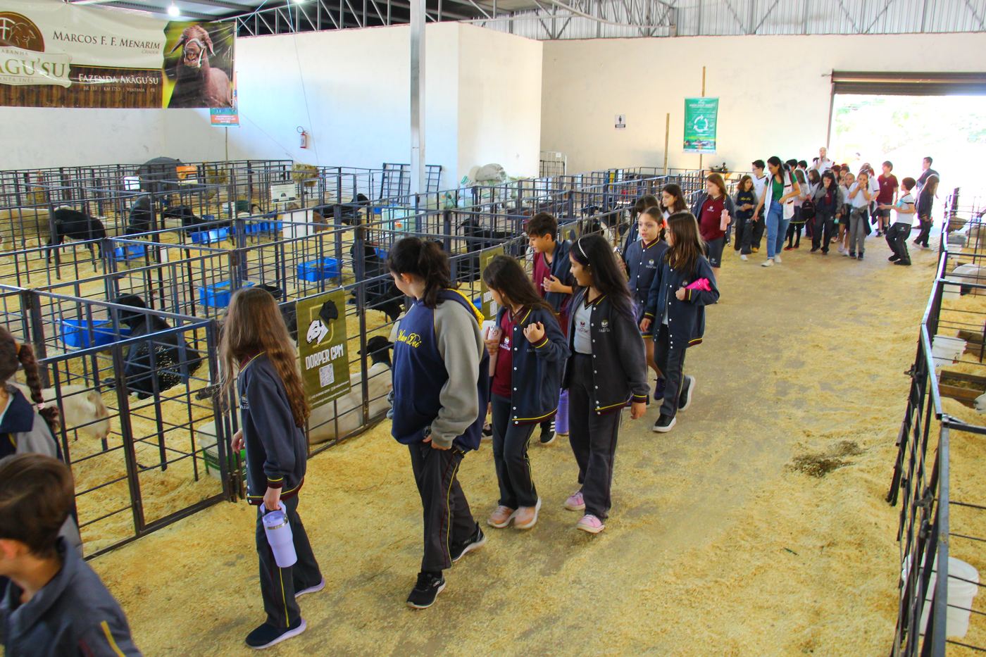 Alunos visitando a fazendinha da Expoingá